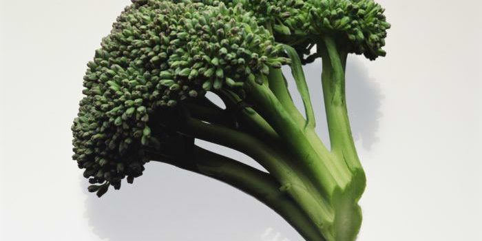 Brócolis